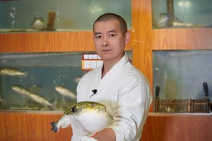 Tại sao cá nóc cực độc lại trở thành đặc sản tại Nhật Bản? 