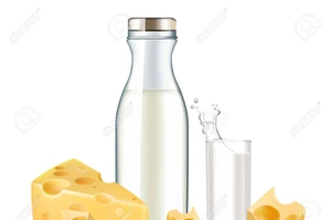  Thực phẩm làm từ sữa và nguy cơ mắc ung thư tuyến tiền liệt