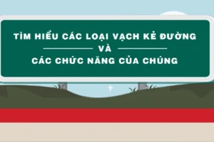 Các loại vạch kẻ đường