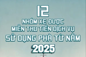 12 nhóm xe được miễn thu tiền dịch vụ sử dụng phà từ 2025