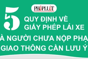 5 quy định về giấy phép lái xe mà người chưa nộp phạt giao thông cần lưu ý
