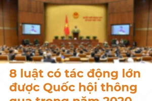 8 luật có tác động lớn được Quốc hội thông qua năm 2020