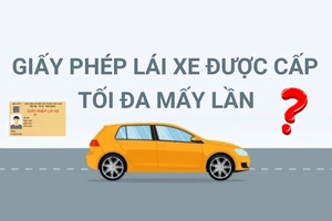 Giấy phép lái xe được cấp tối đa mấy lần?