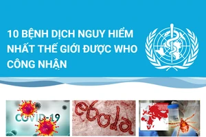 10 bệnh dịch nguy hiểm nhất thế giới được WHO công nhận