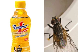 Vụ chai nước có ruồi của Tân Hiệp Phát: Bộ Công Thương lên tiếng
