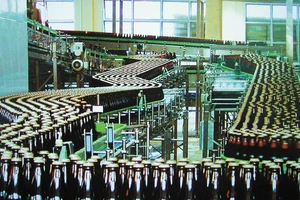 Nghị định, thông tư 'vênh' luật, doanh nghiệp than khó