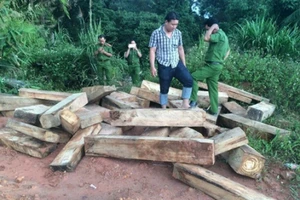 Tạm đình chỉ công tác một chi cục trưởng Hải quan ở Quảng Nam