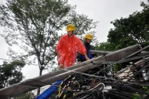 Hà Nội: Cây cổ thụ, cột điện lại gãy đổ sau bão