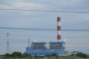 Ngư dân lo lắng dưới đáy vịnh Cà Ná có lớp muội đen