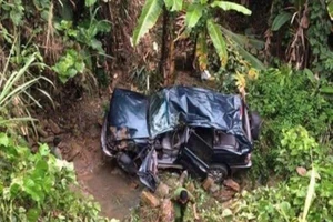 Xe chở đoàn công tác Tập đoàn Điện lực lao xuống vực