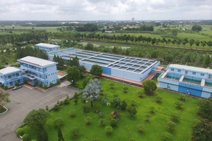 Bị phạt 125 triệu đồng vì không chào bán chứng khoán