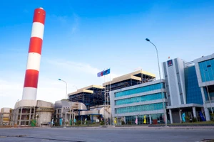 Điện lực dầu khí sẽ bán cổ phần vào ngày 31-1