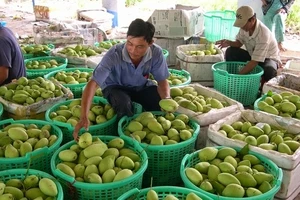 Tre Việt chi 5,6 tỉ đôla mua 20 máy bay Boeing của Mỹ 