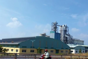 Bột giấy Phương Nam đấu giá 4 lần không ai mua