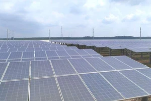 Gấp rút đóng điện mặt trời trước ngày 30-6