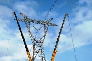 EVNNPT đề xuất sớm phê duyệt Quy hoạch điện 8 để làm lưới điện truyền tải 