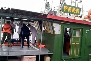 Hải Phòng: Một ngư dân bị cá mập tấn công gần đảo Bạch Long Vỹ