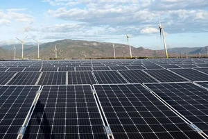 EVN đề nghị các doanh nghiệp năng lượng tái tạo nhanh chóng gửi thông số để xây dựng khung giá