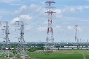 Chủ tịch EVN: Không để dự án nào bị chậm tiến độ do thiếu vốn