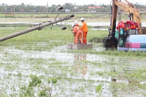 70% khách hàng bị ảnh hưởng bão số 5 đã được cấp điện trở lại 