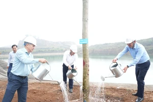 TKV phát động 'Tết trồng cây đời đời nhớ ơn Bác Hồ' xuân Bính Ngọ 2026