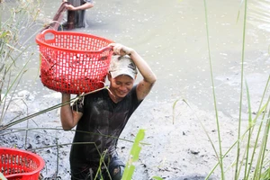 Một ngày vây lưới bắt cá bên cạnh bãi rác Đa Phước