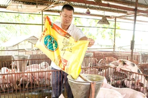 Công ty CP Tập đoàn Masan: bước chuyển đột phá ấn tượng