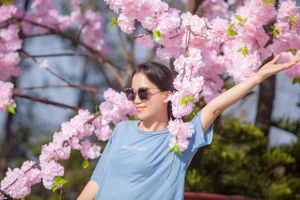 Sun World Ba Na Hills, lên núi ngắm hoa xuân, vui Tết