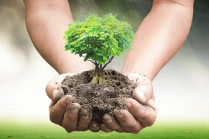 'Giải quyết ô nhiễm nhựa và nylon'