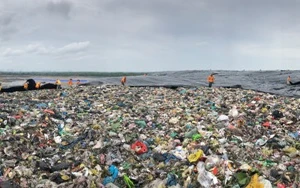 Buồn vui của người công nhân trên đỉnh rác Đa Phước