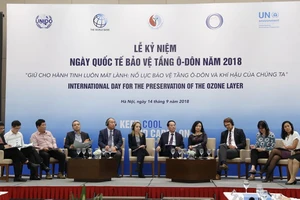 Việt Nam nỗ lực bảo vệ tầng ozone và khí hậu