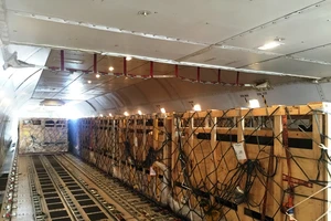 200 cô bò sữa hữu cơ “cưỡi chuyên cơ” về Việt Nam