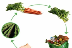 Rác không phải là thứ bỏ đi, vô giá trị