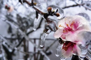 Chuyện đời đáng nhớ của 1 công trình kỷ lục