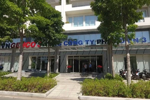 Mùa xuân đầu tiên của EVNGENCO 3 tại TP.HCM