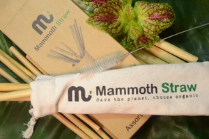 Ống hút tre sậy: Sản phẩm hữu cơ, bảo vệ môi trường