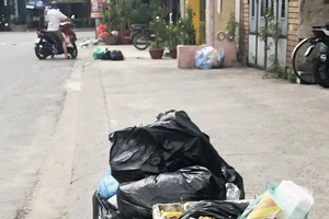 TP.HCM giám sát việc xử lý ý kiến của dân về xả rác