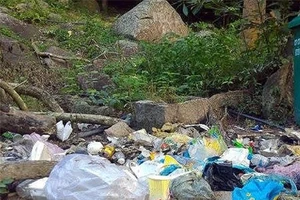 Để luật không còn 'lỗi nhịp' với cuộc sống