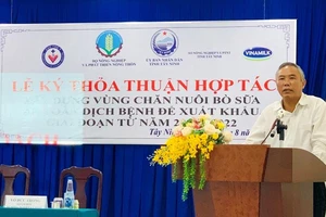 Xây dựng vùng chăn nuôi bò sữa an toàn dịch bệnh