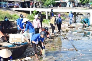 Sinh viên thu gom hơn 8,5 tấn rác dọc bãi biển Việt Nam