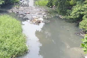 Kiến nghị giải pháp để giải cứu kênh rạch ở TP.HCM