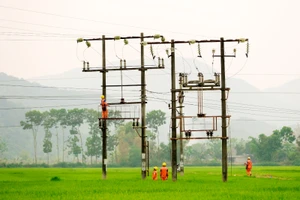 EVN hoàn thành xuất sắc nhiệm vụ xây dựng điện nông thôn