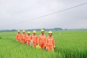 Khi dòng điện vươn xa…