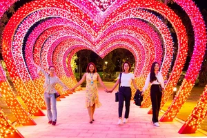 Du xuân mãn nhãn với 1.000 gốc mai giữa lòng Sài Gòn