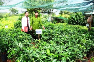 Agribank nỗ lực hành động vì chất lượng cuộc sống cộng đồng