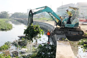 TP.HCM tăng cường xử phạt hành vi xả rác nơi công cộng