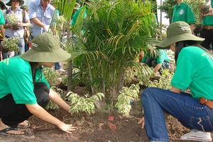 TP.HCM nỗ lực giảm nhẹ biến đổi khí hậu