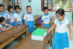 Đã sẵn sàng cho Chương trình Sữa học đường mùa tựu trường