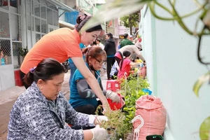 Mô hình “không gian xanh” cho nhiều bức tường bẩn ở TP.HCM