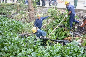 Tìm giải pháp bảo vệ tài nguyên nước cho TP.HCM